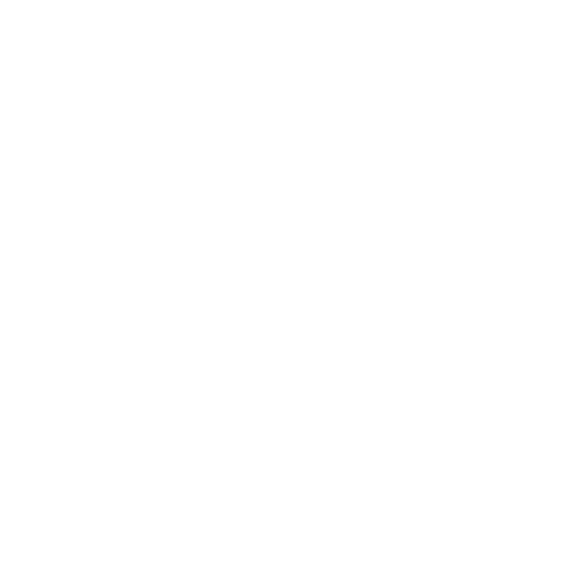 Istituto di Vigilanza C.F.I. srl